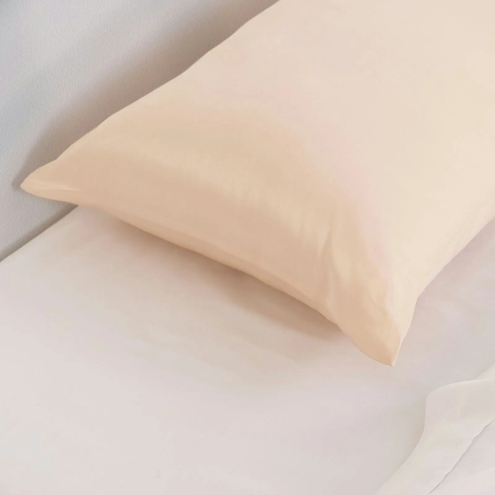 Royal Comfort Pure Silk Pillow Case 100% Mulberry Silk Hypoallergenic Pillowcase