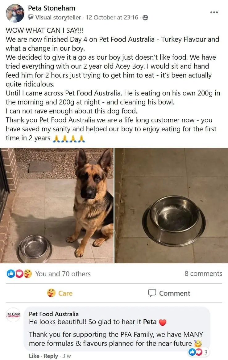 New - Insect Protein Dog Food