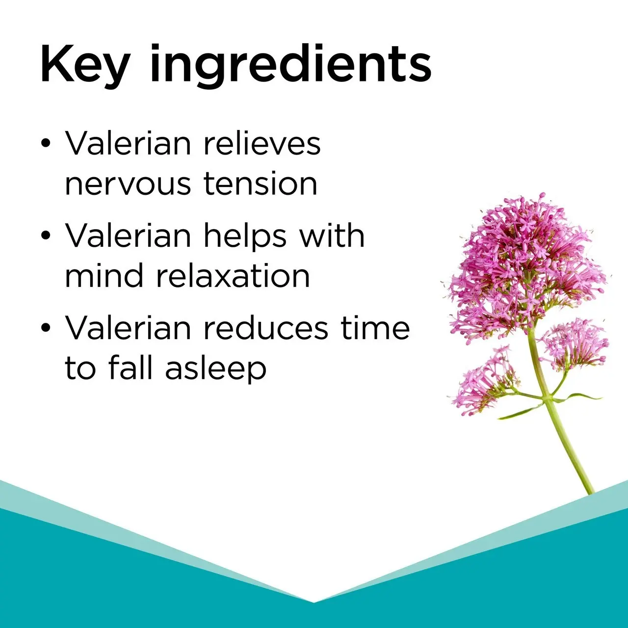 Blackmores Valerian Forte 60 Tablets