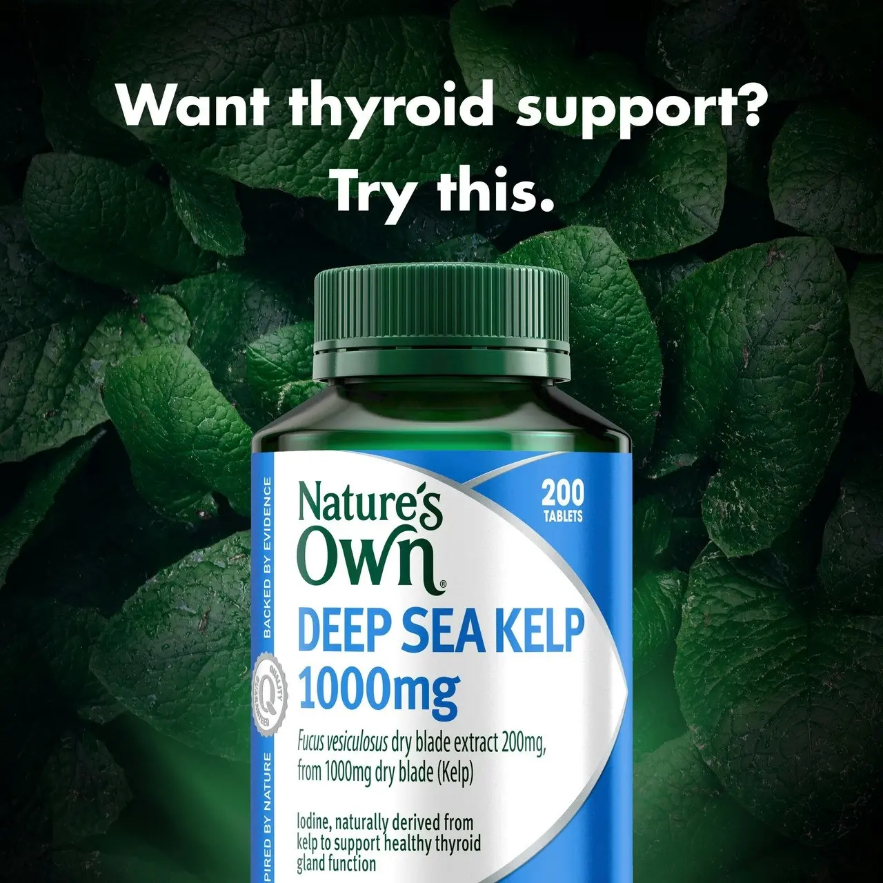 Nature's Own Deep Sea Kelp 1000mg