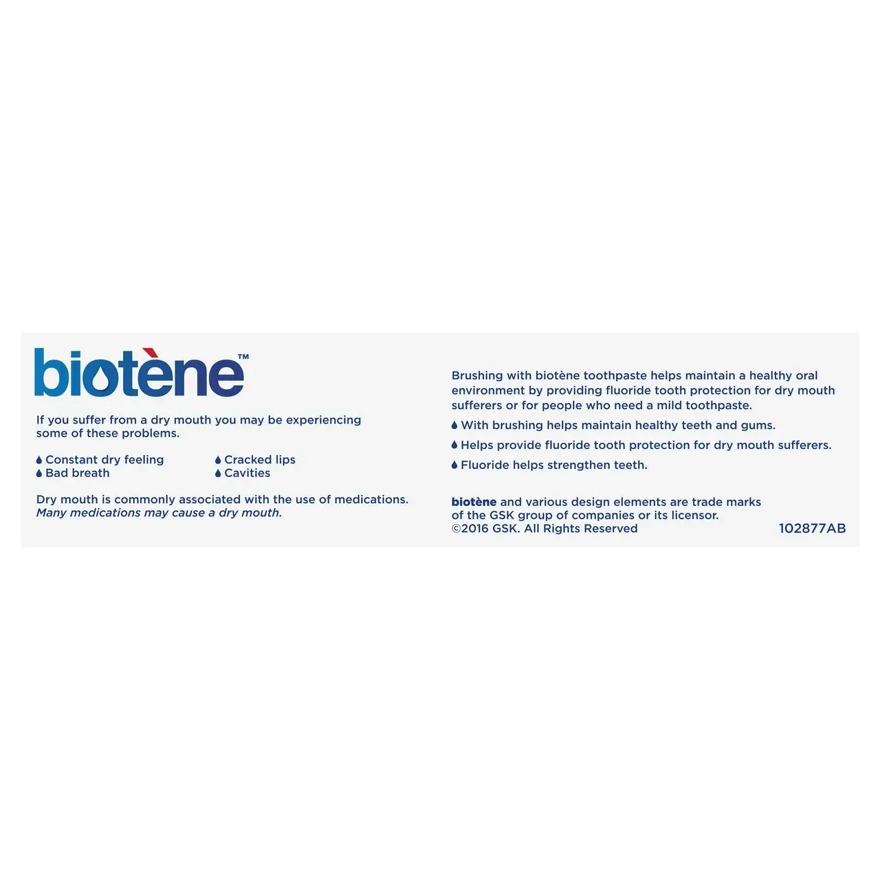 Biotene Dry Mouth Relief Fluoride Toothpaste Fresh Mint Original 120g