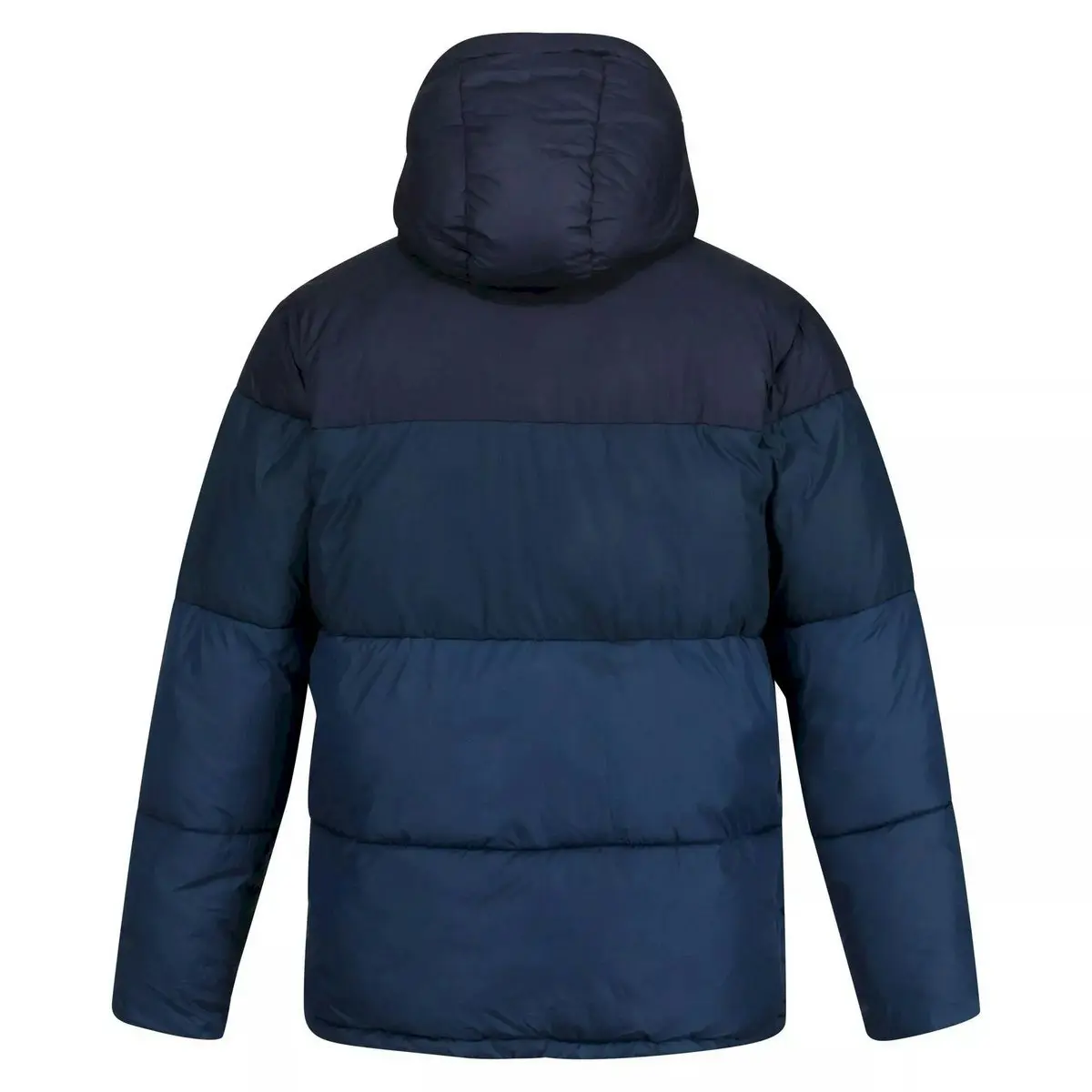 Regatta Mens Carnan Padded Jacket