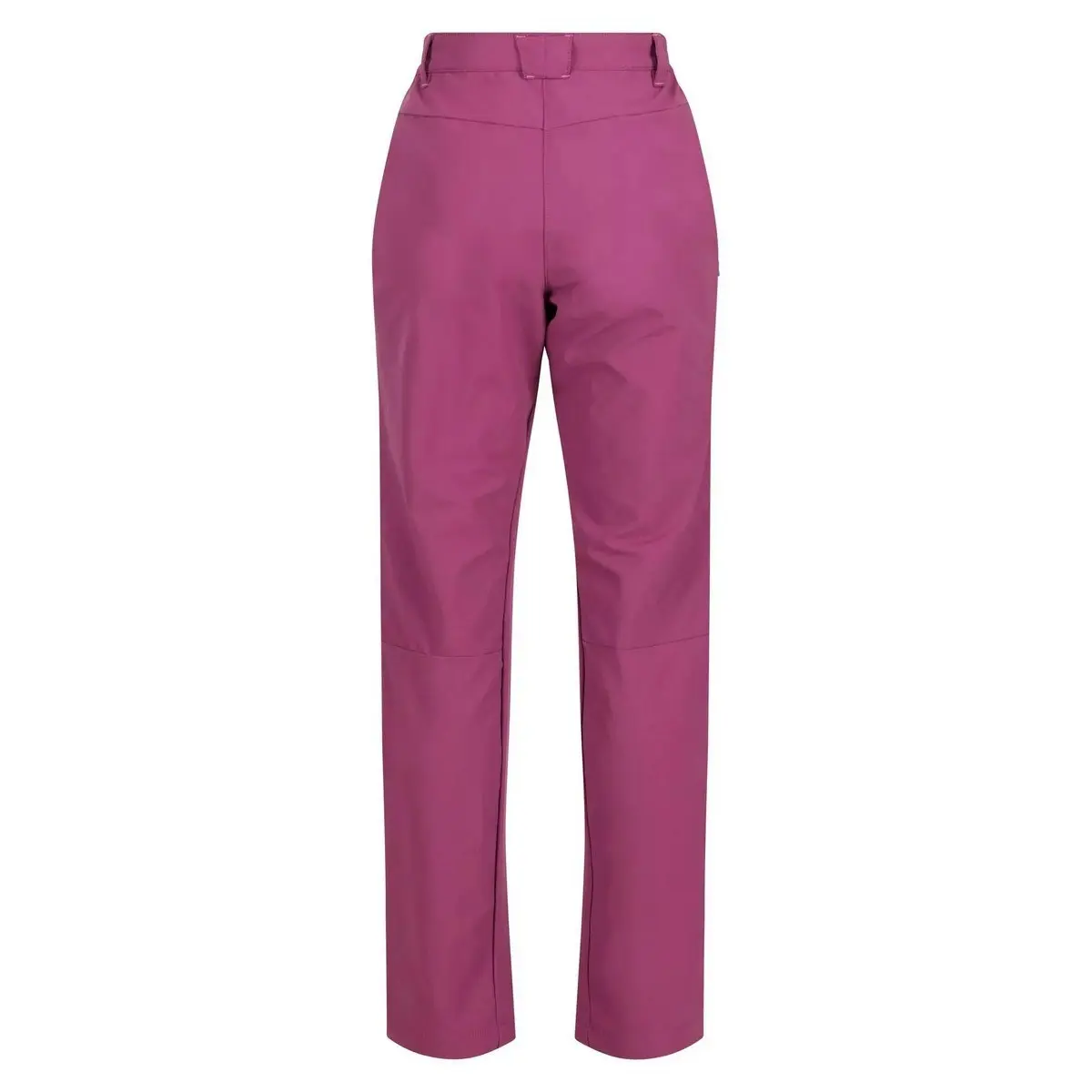 Regatta Womens/Ladies Questra IV Stretch Hiking Trousers