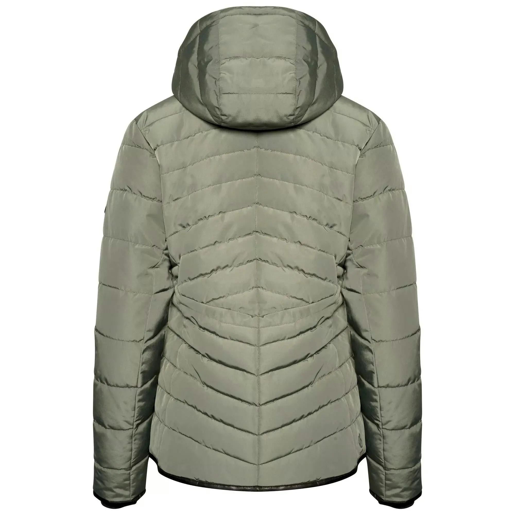 Dare 2B Womens/Ladies Striking Padded Jacket