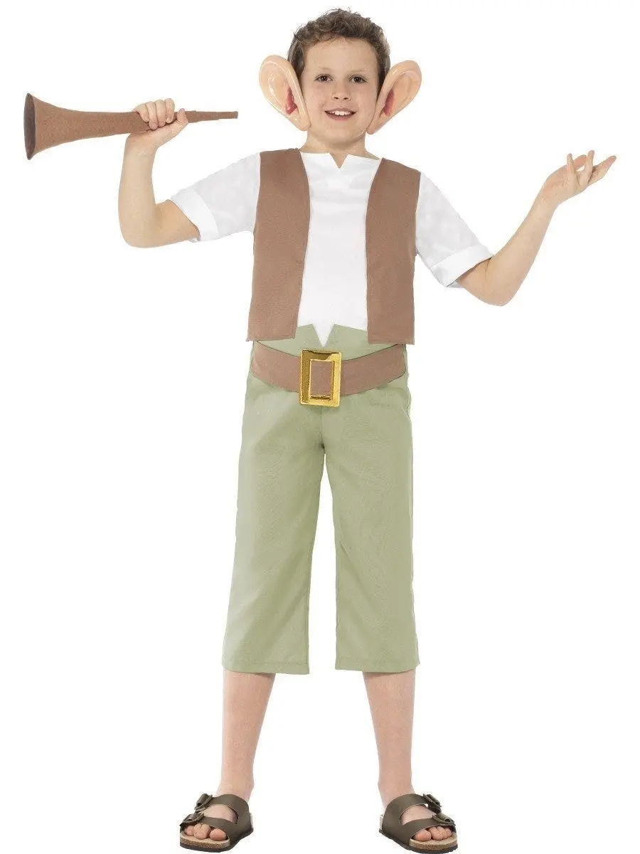 Roald Dahl BFG Boys Costume