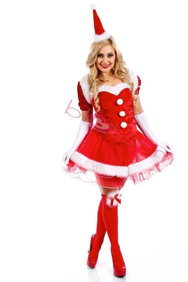 Deluxe Christmas Santa Womens Costume