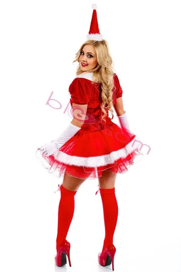 Deluxe Christmas Santa Womens Costume