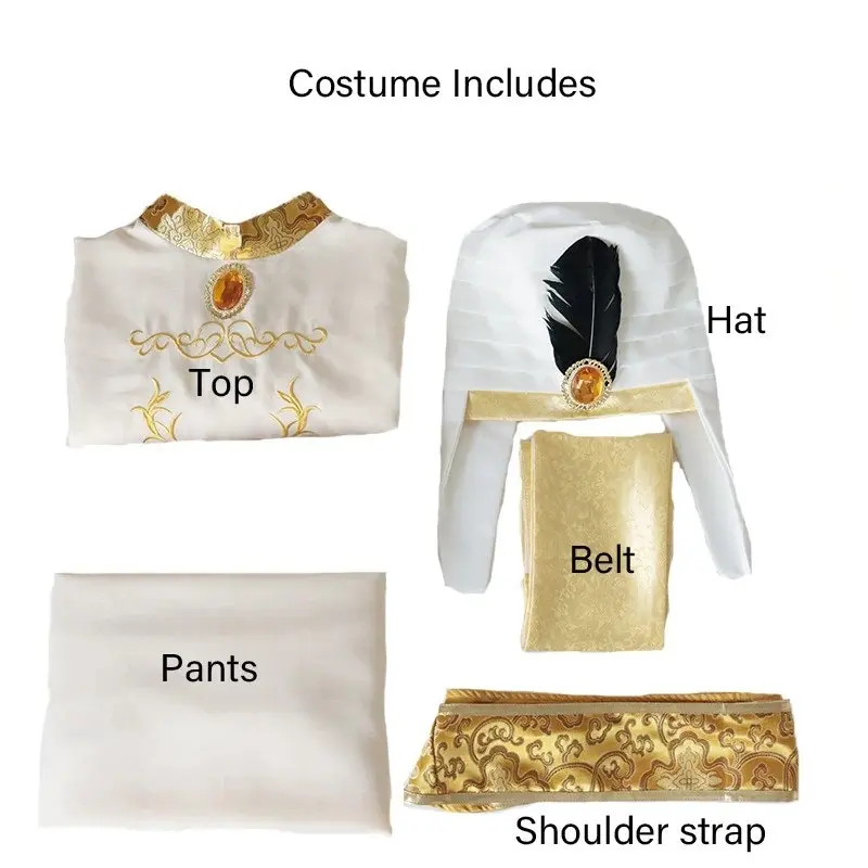 Prince Aladdin Lamp Cosplay Mens Costume