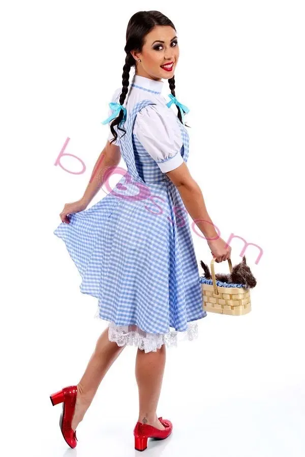 Storybook Sweetheart Dorothy Womens Costume