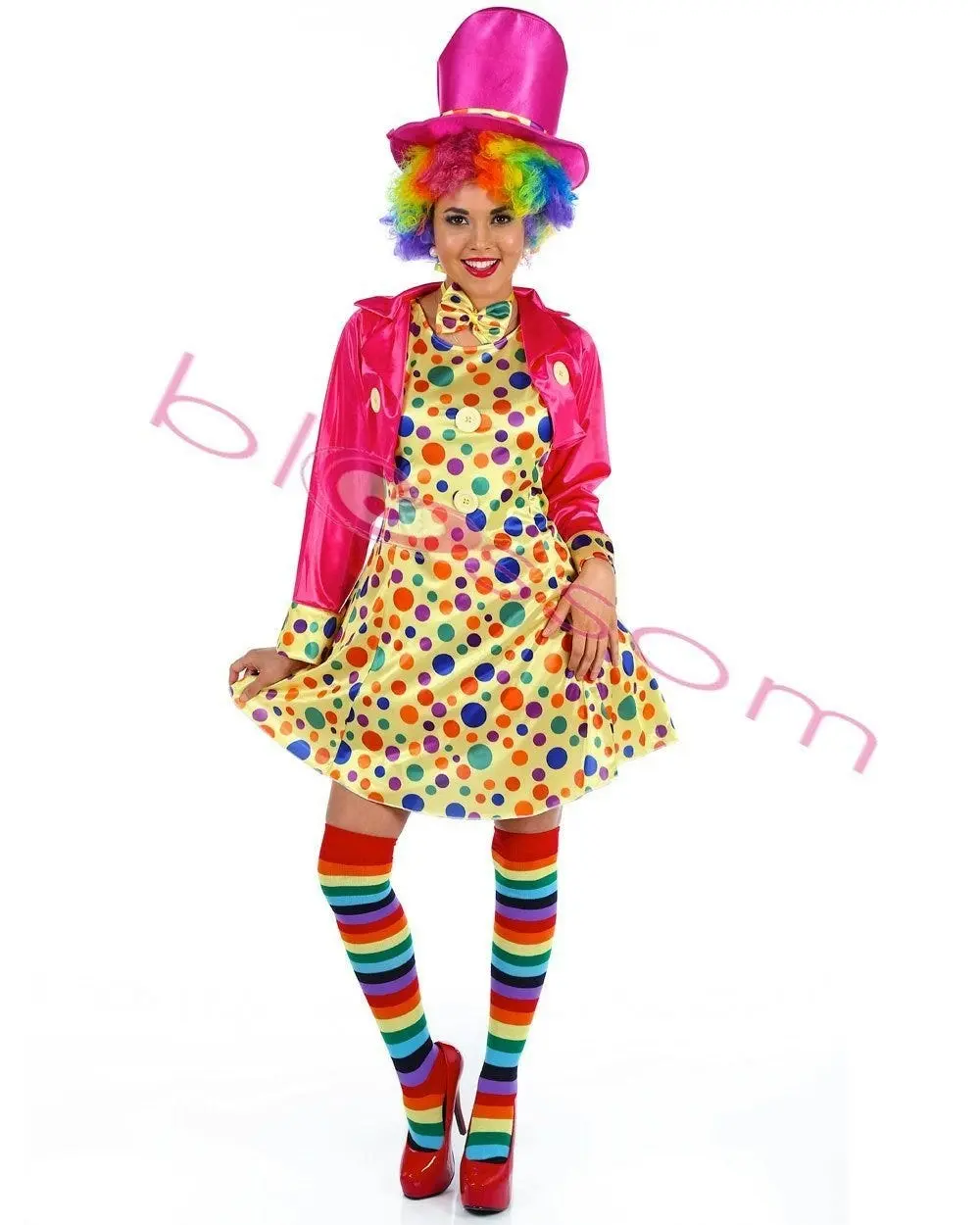 Colourful Funny Clown Womens Costume