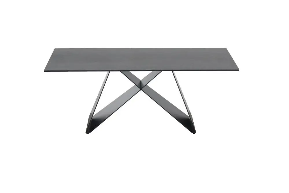 Raimon Furniture Odette Rectangular Coffee Table - Black Metal Frame - Shadow Grey Ceramic