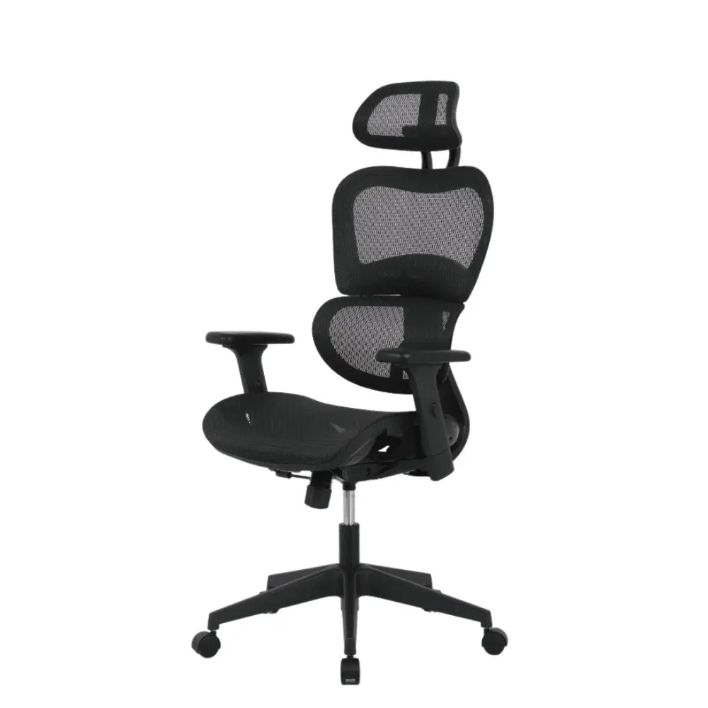 Elite Modern Ergonomic Mesh Executive Office Computer Working Chair - Black