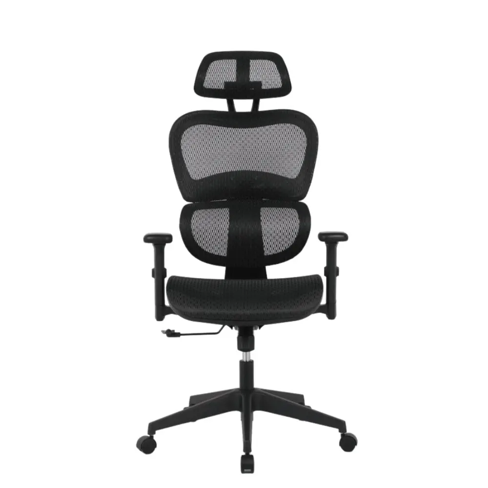 Elite Modern Ergonomic Mesh Executive Office Computer Working Chair - Black