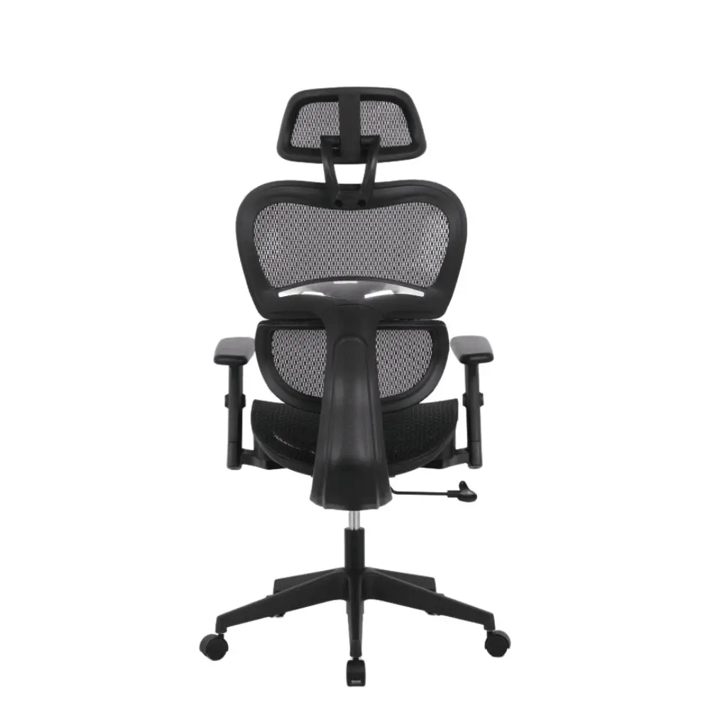 Elite Modern Ergonomic Mesh Executive Office Computer Working Chair - Black