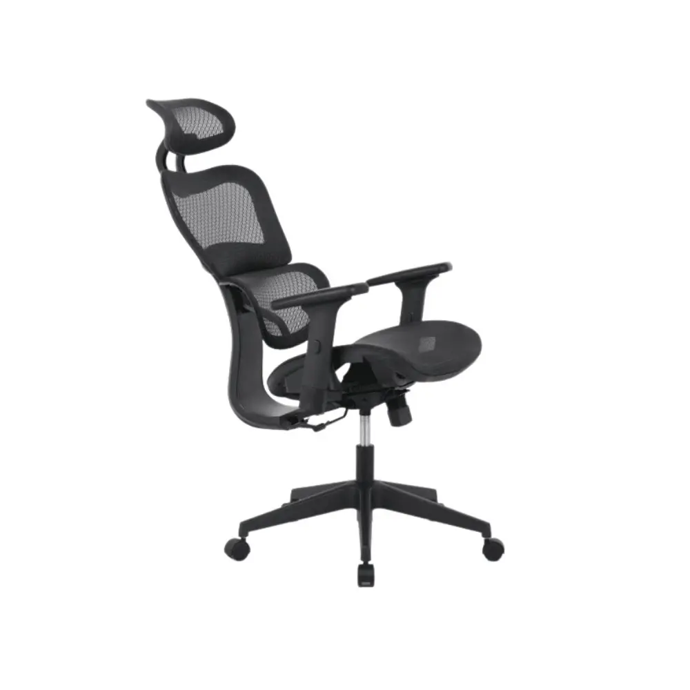 Elite Modern Ergonomic Mesh Executive Office Computer Working Chair - Black