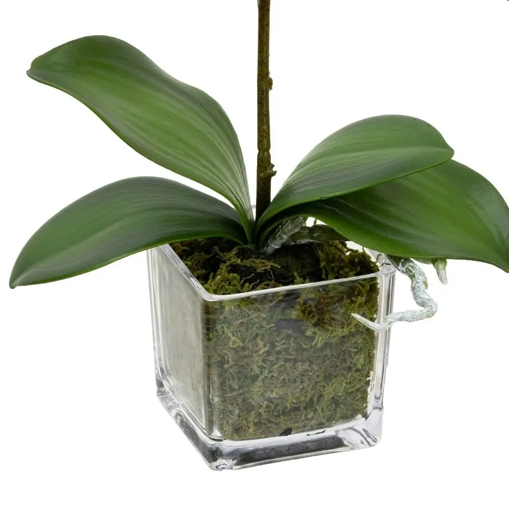 Glamorous Fusion Orchid 32cm White Artificial Faux Plant Decorative Arrangement In Square Glass