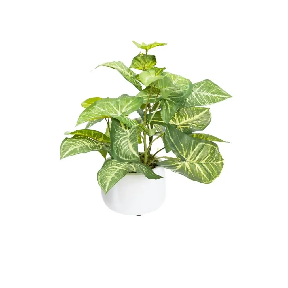 Glamorous Fusion Potted Syngonium Artificial Faux Plant Decorative Set Green