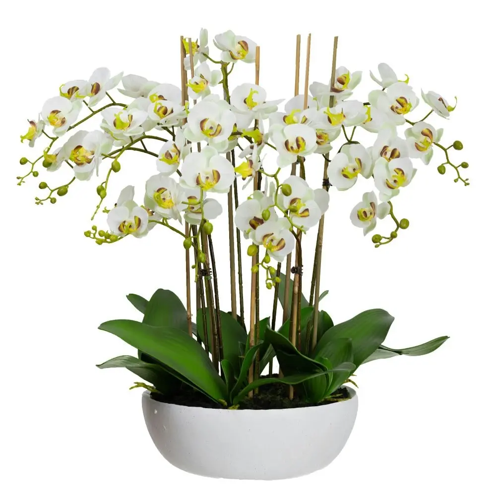 Glamorous Fusion Apple Green Phal Orchid White Artificial Faux Plant Decorative Arrangement In Pot