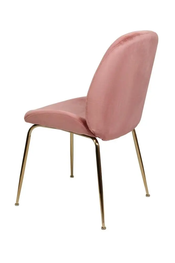 Raimon Furniture Set of 2 Casa Velvet Fabric Dining Chair - Gold Legs - Blush