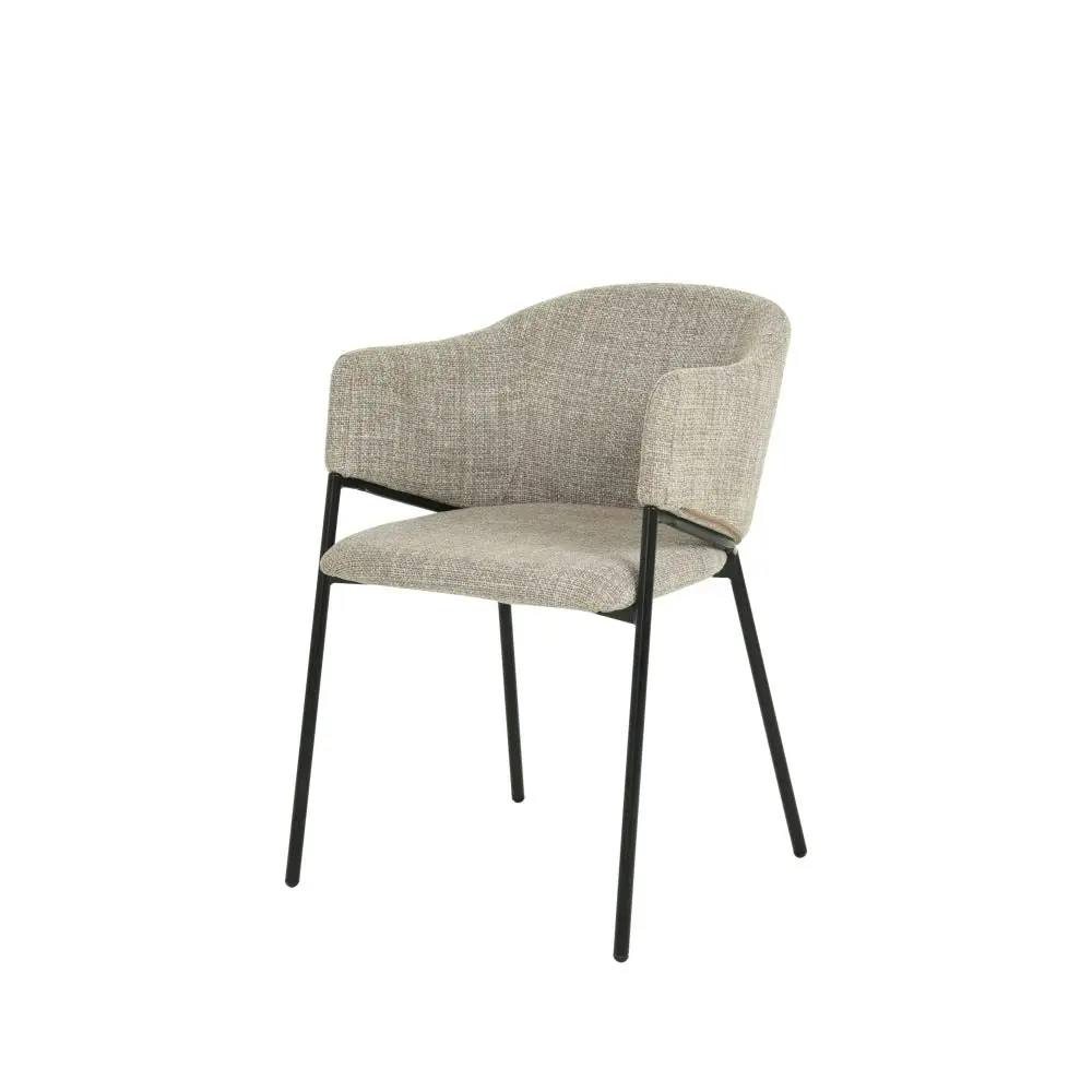 Raimon Furniture Set Of 2 Beren Textured Fabric Kitchen  Dining Arm Chair Metal Legs - Almond