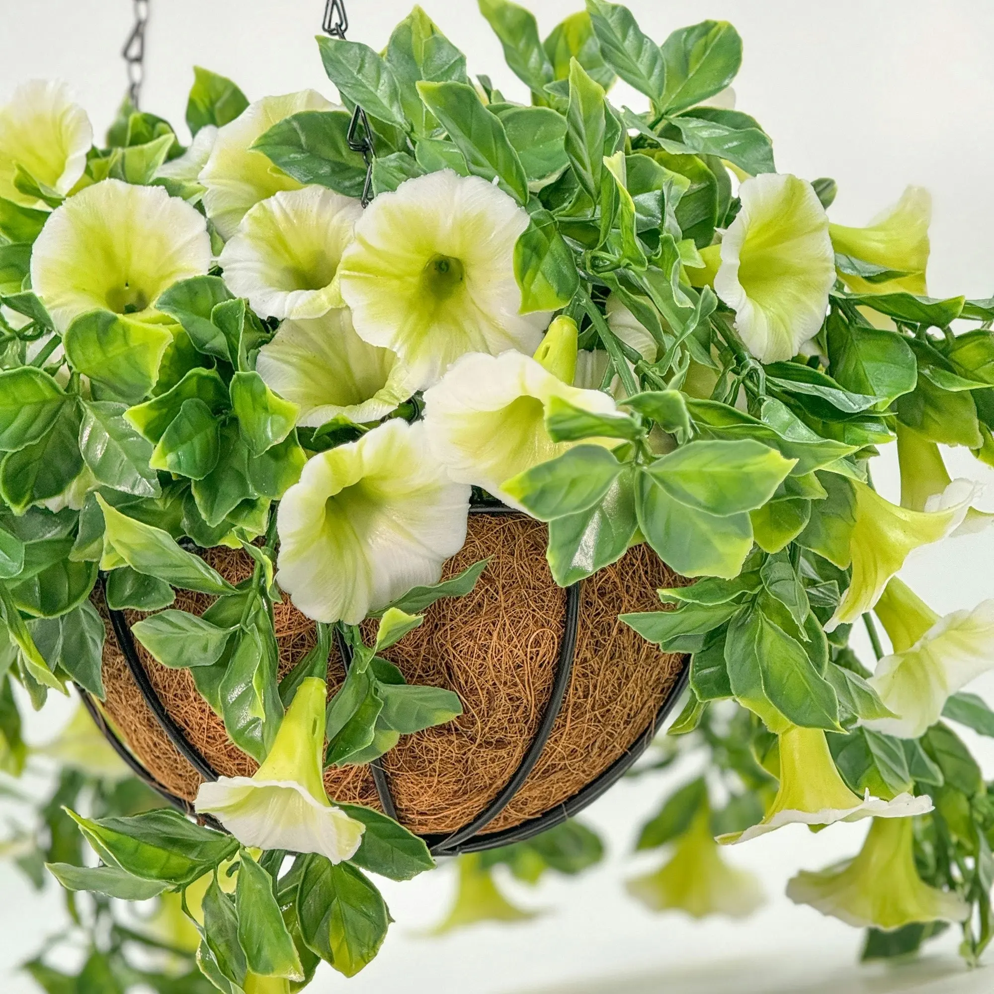 Hanging Baskets - Artificial Petunia (Morning Glory) - White 33cm Outdoor