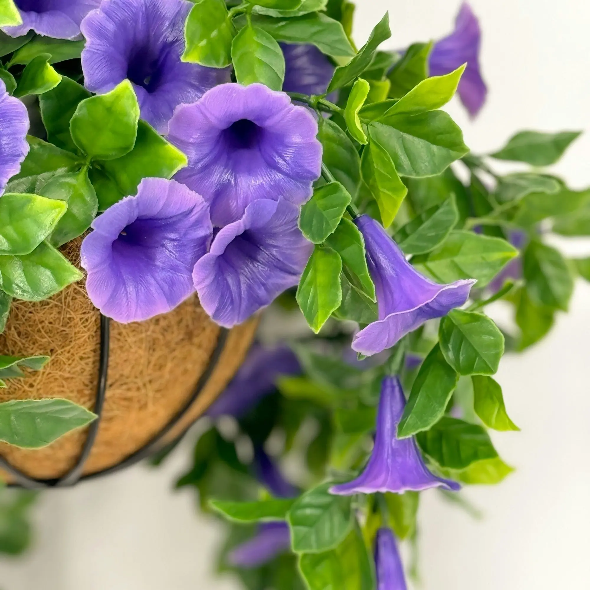 Hanging Baskets - Artificial Petunia (Morning Glory) - Purple 33cm Outdoor