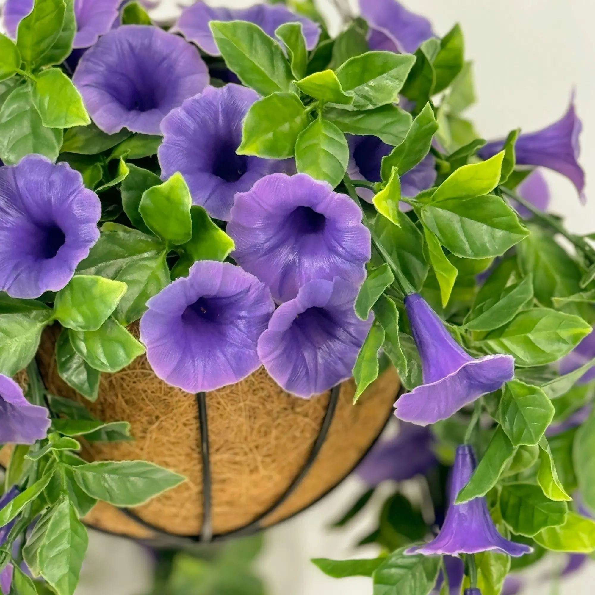 Hanging Baskets - Artificial Petunia (Morning Glory) - Purple 33cm Outdoor