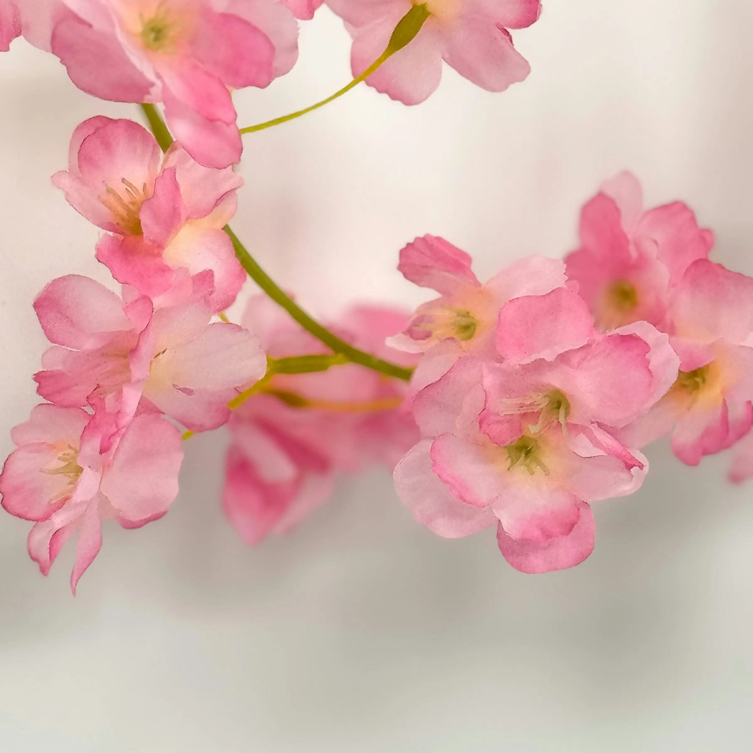 Artificial Garland - Cherry Blossom - Pink 180cm