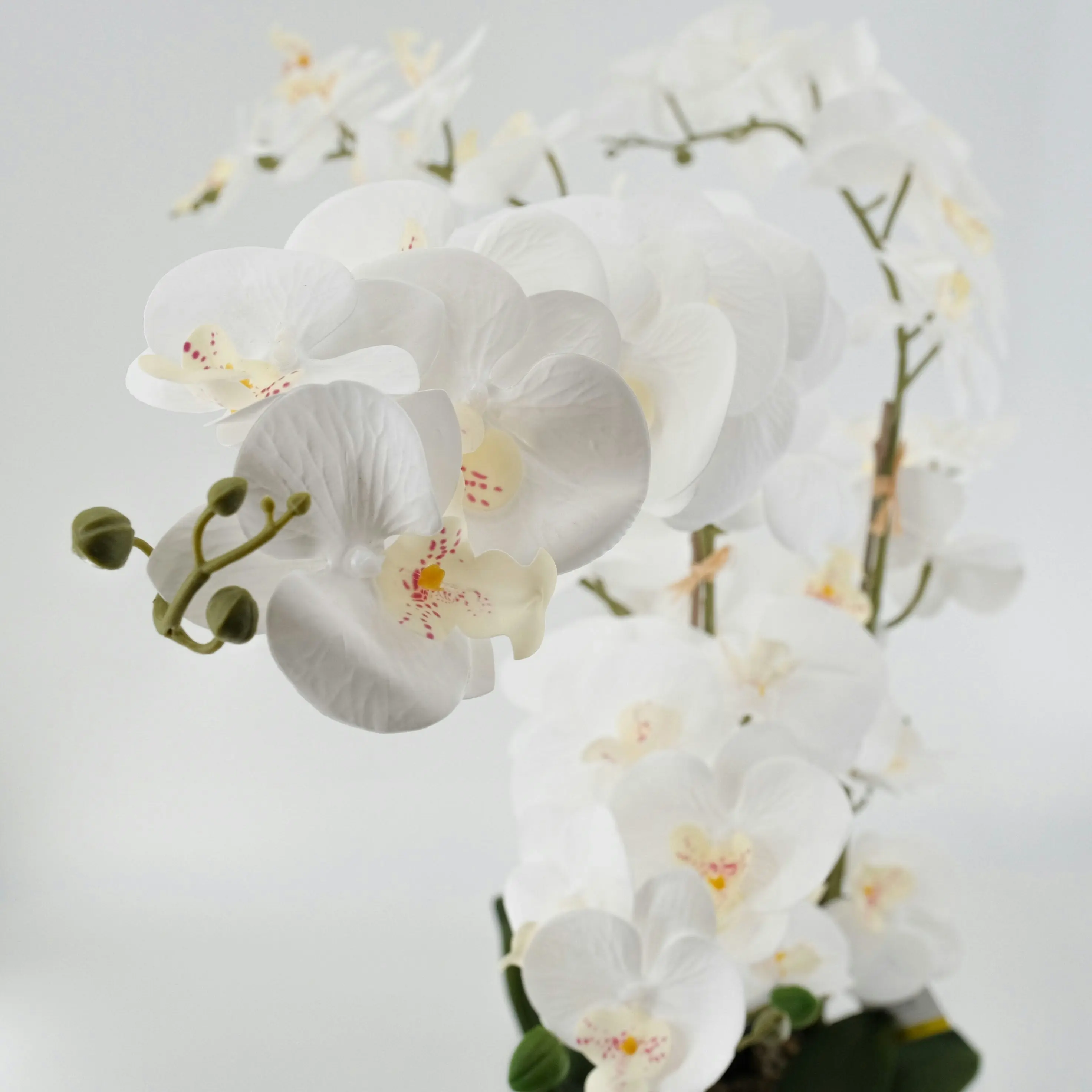 White Phalaenopsis Orchid Artificial Plant 85cm