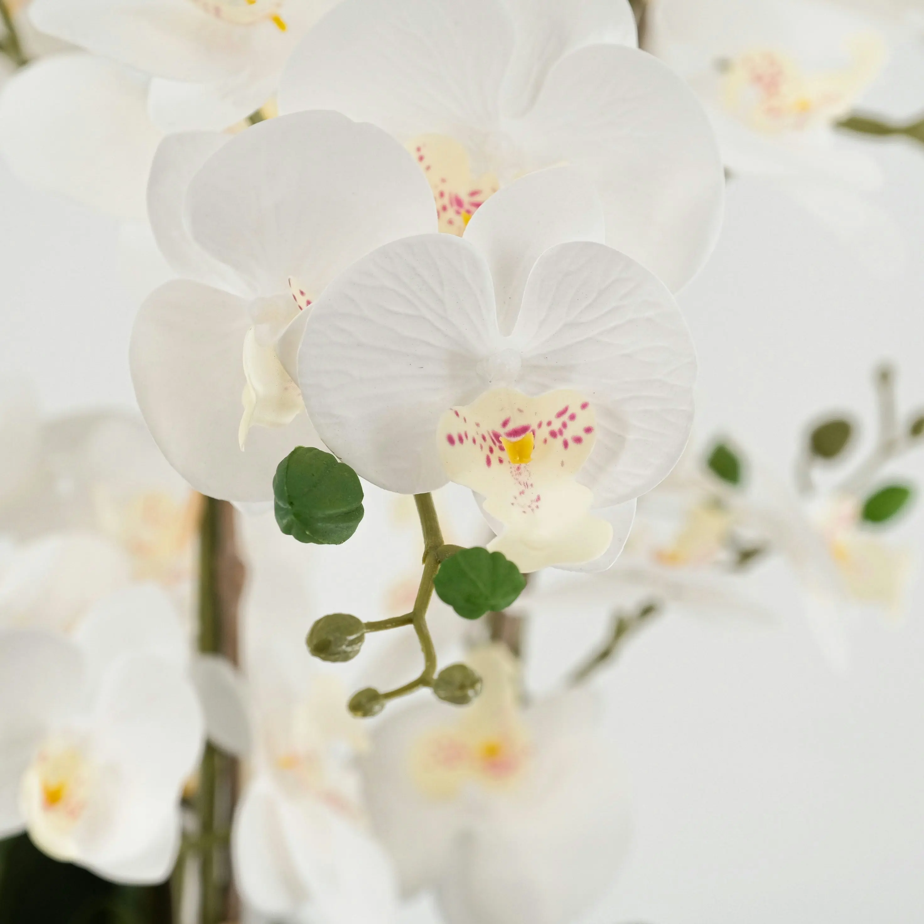 White Phalaenopsis Orchid Artificial Plant 85cm