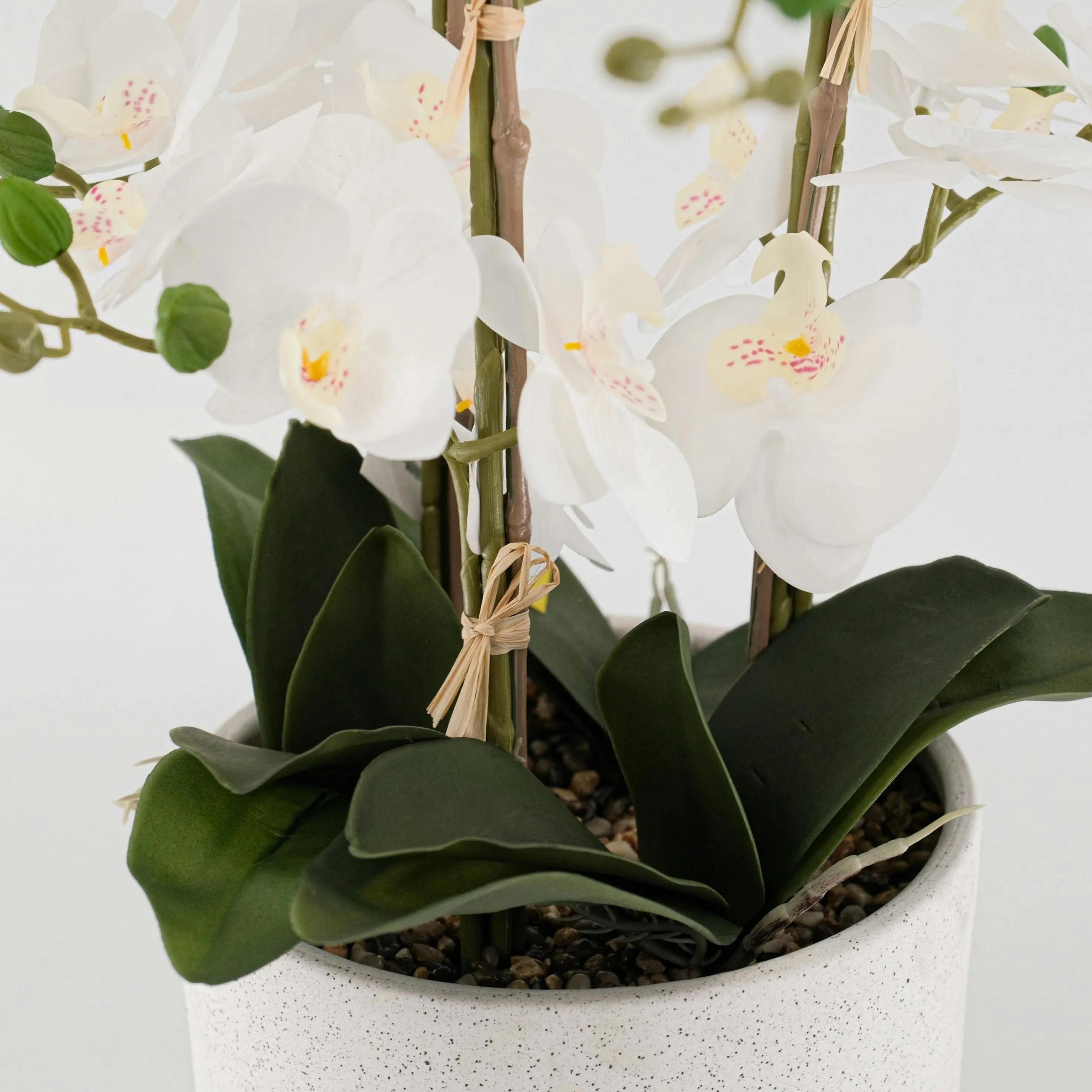 White Phalaenopsis Orchid Artificial Plant 85cm