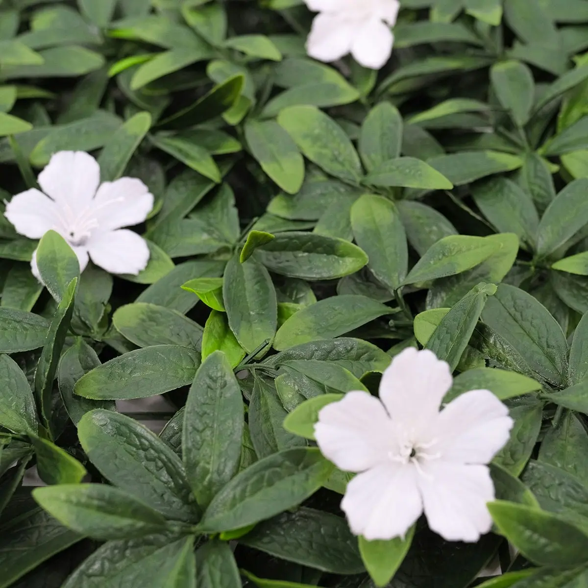 Artificial White Petal Hedge 50x50cm