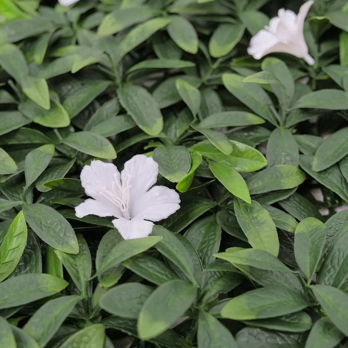 Artificial White Petal Hedge 50x50cm