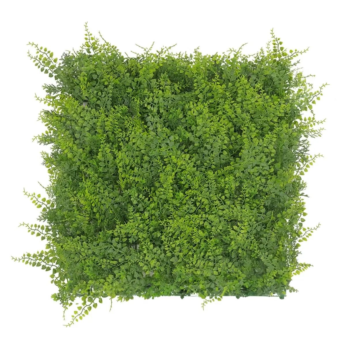 Artificial Golden Pine Hedge 50x50cm