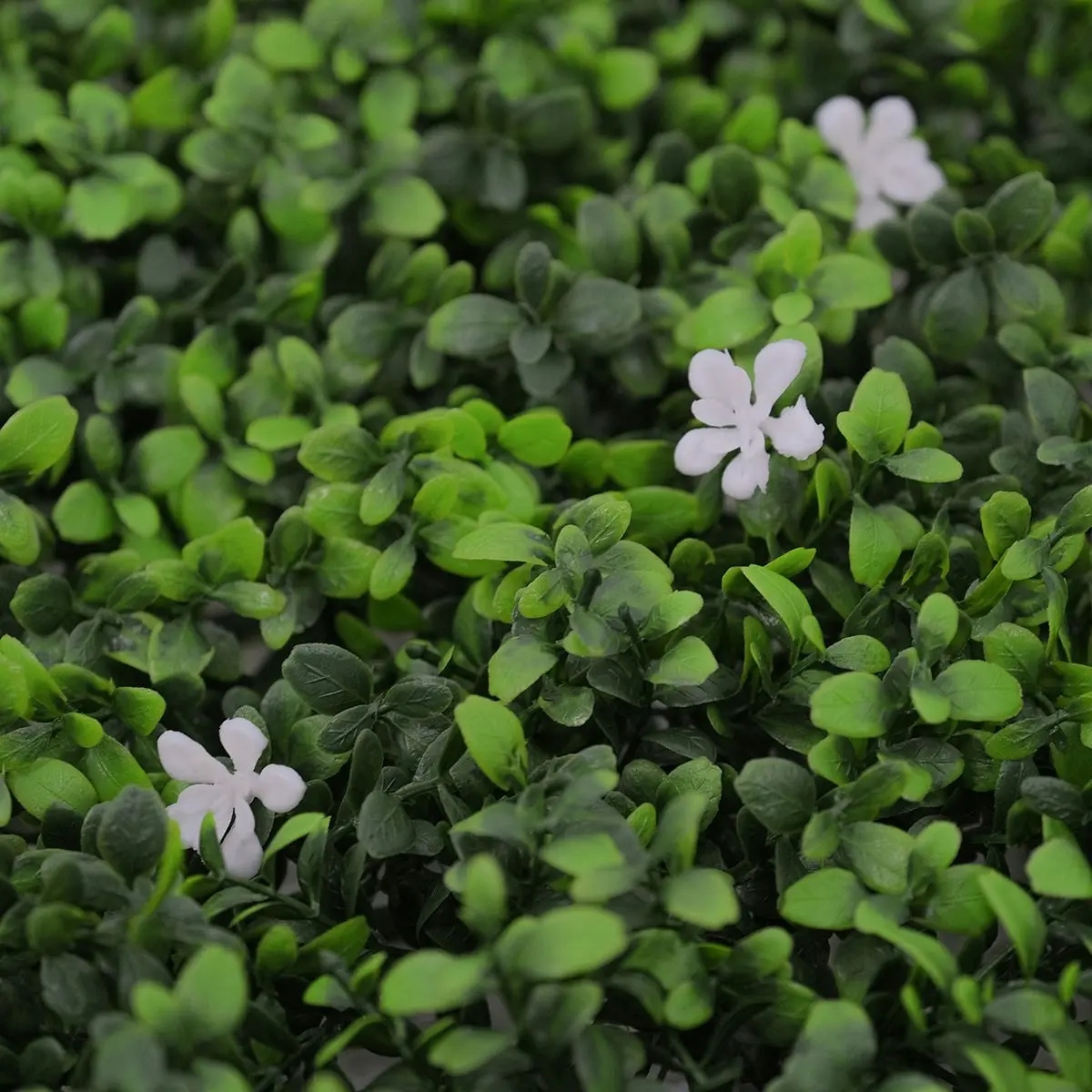 Artificial White Flower Hedge 50x50cm