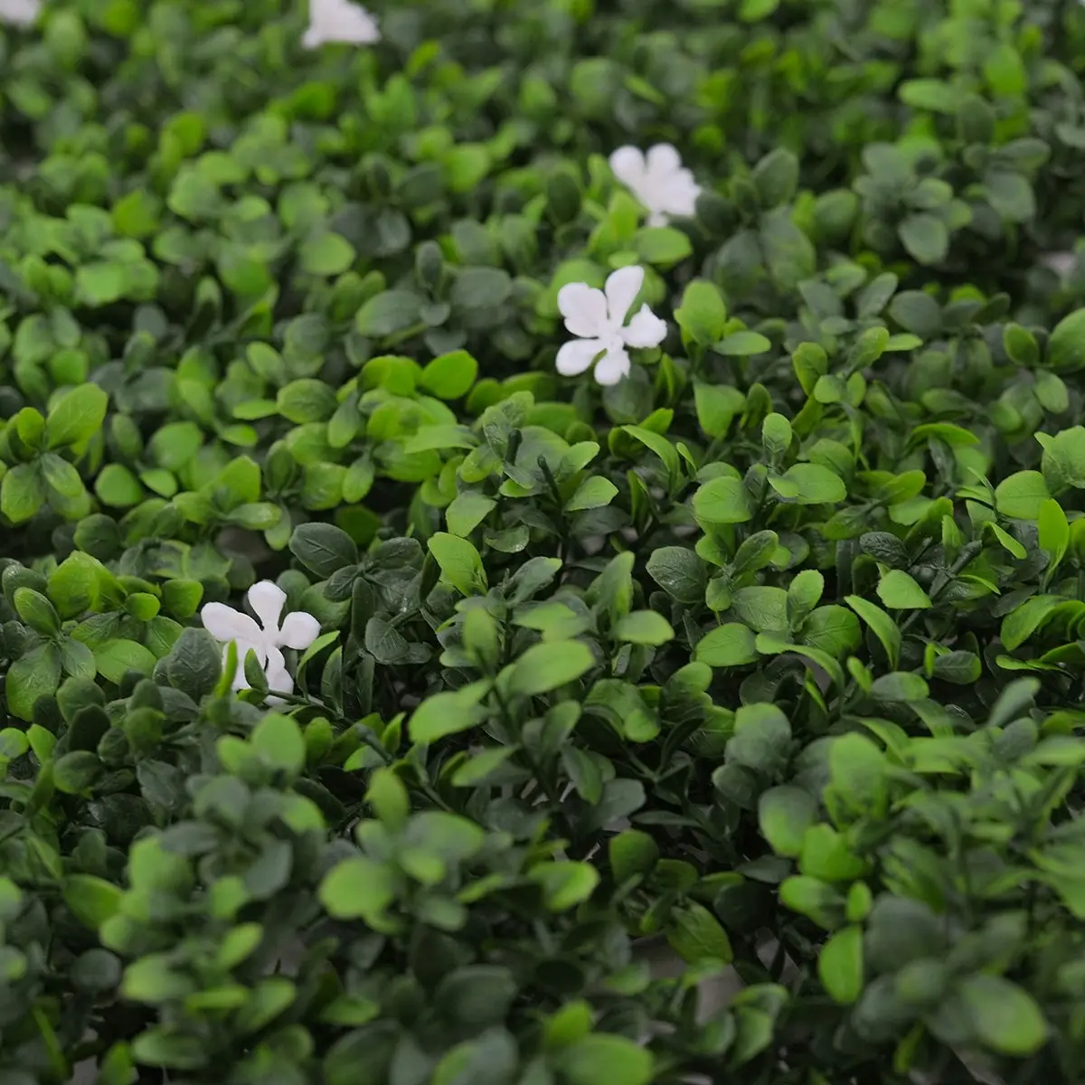 Artificial White Flower Hedge 50x50cm