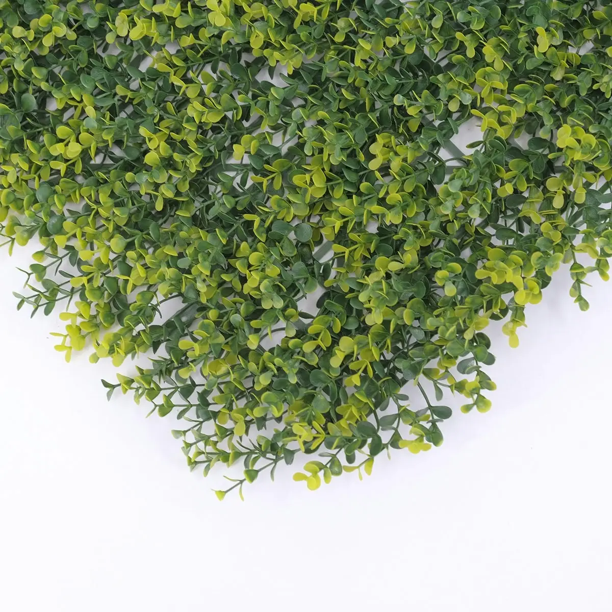 Artificial Golden English Box Hedge 50x50cm