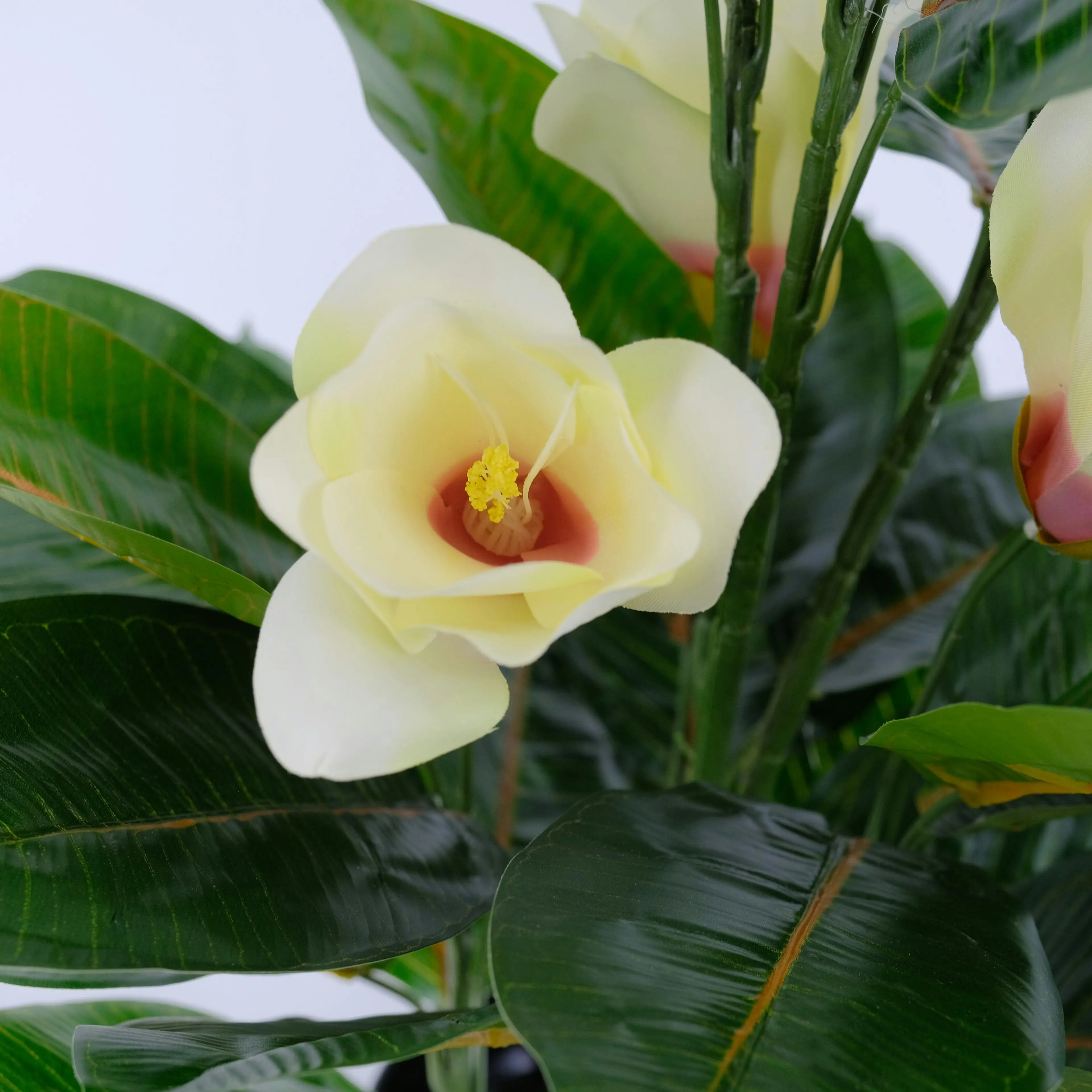 Artificial Potted Magnolia (Yulan) Flower Plant 80cm