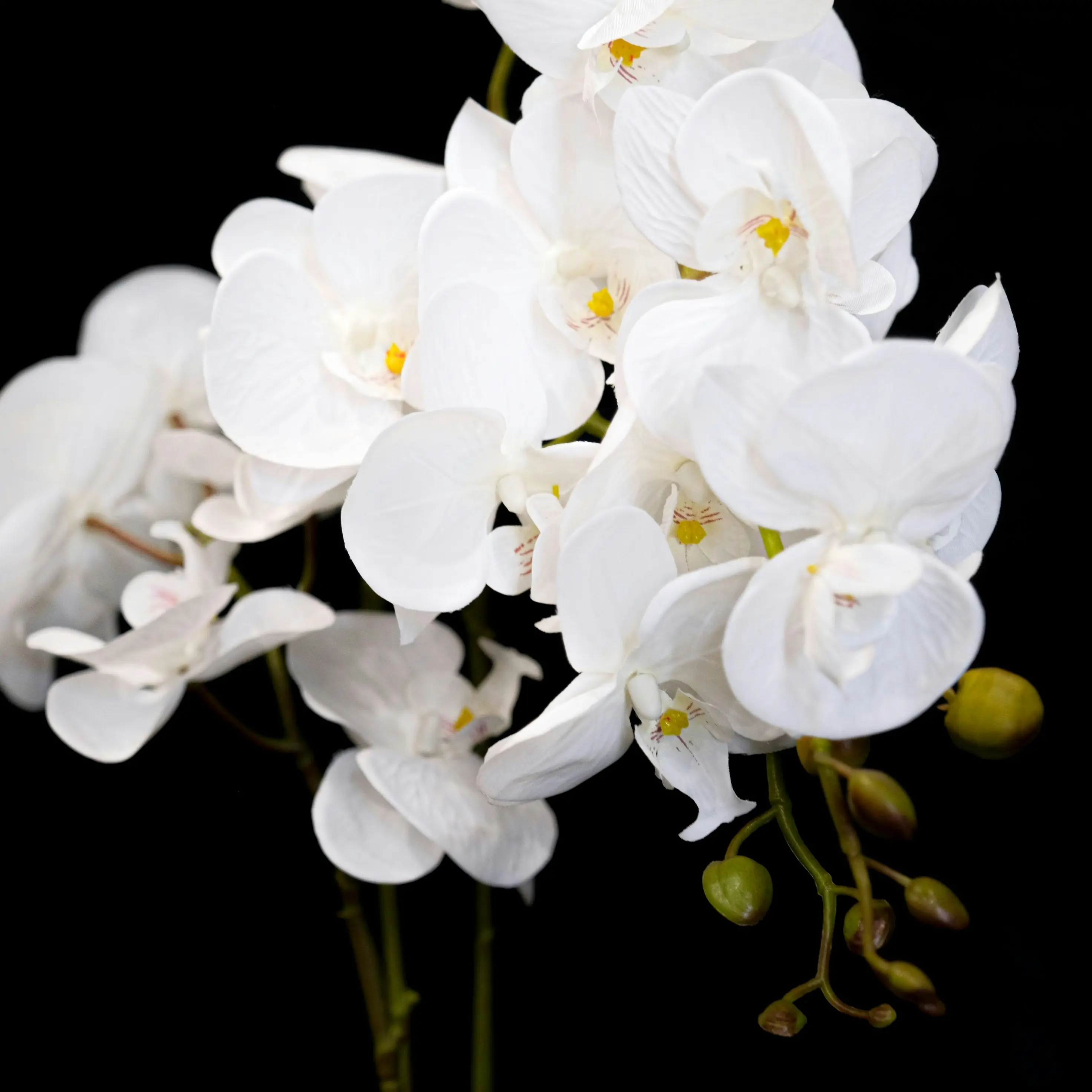 Artificial White Orchid Flowers Plant in white pot 65cm