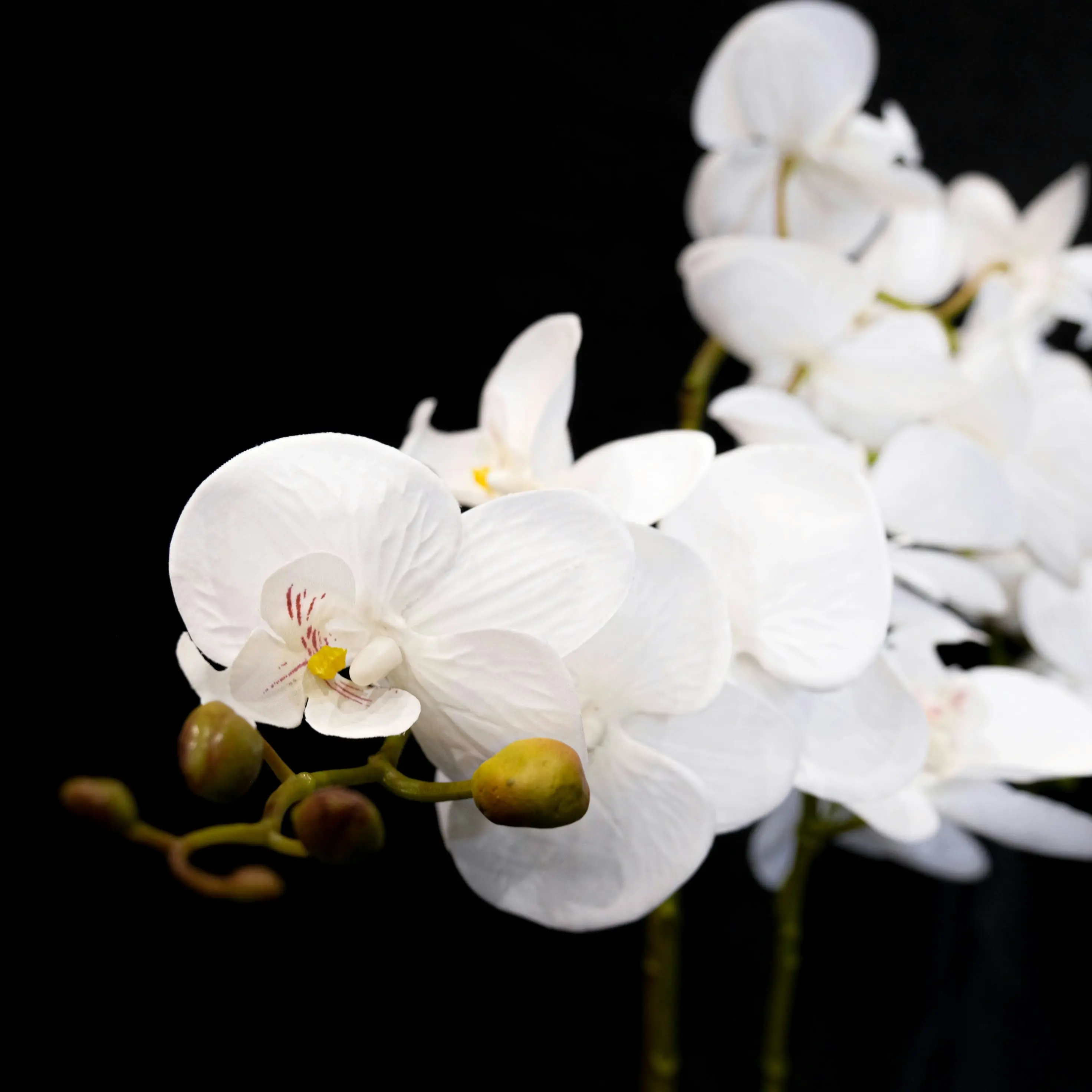 Artificial White Orchid Flowers Plant in white pot 65cm