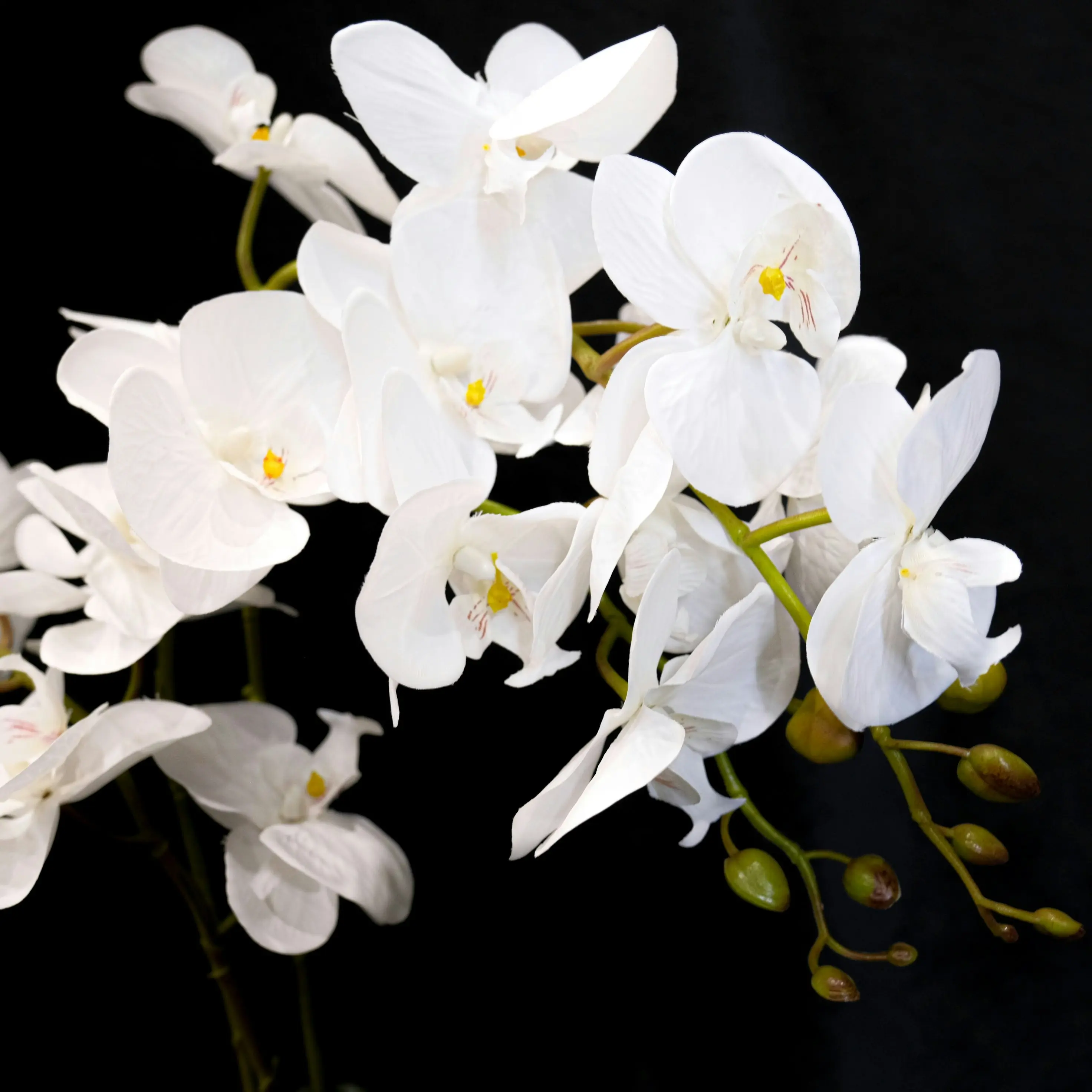 Artificial White Orchid Flowers Plant in white pot 65cm