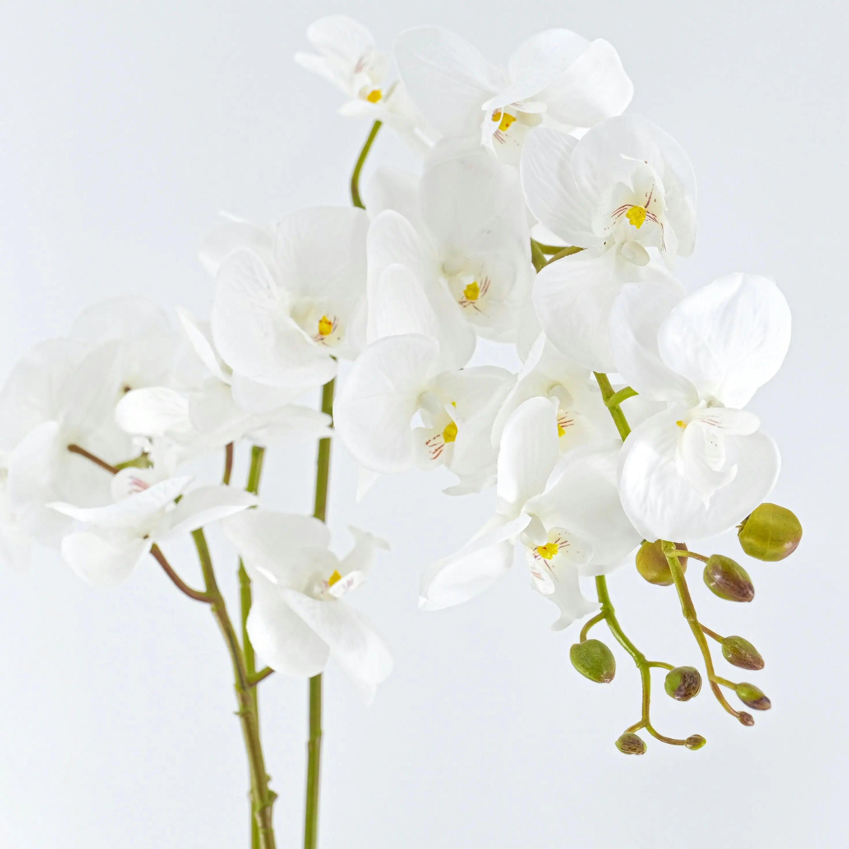 Artificial White Orchid Flowers Plant in white pot 65cm