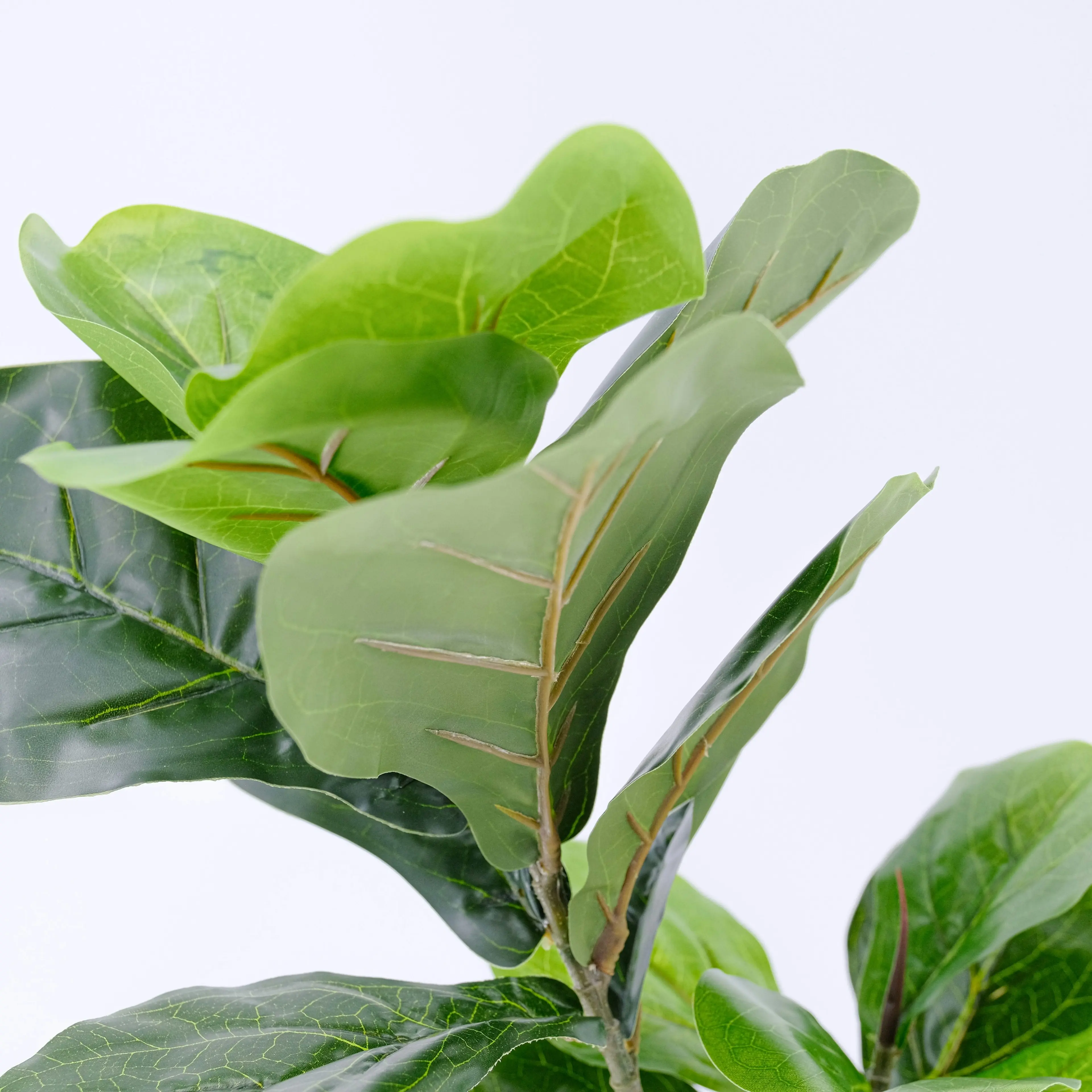 Artificial Twin Fiddle Leaf Fig Plant 70cm