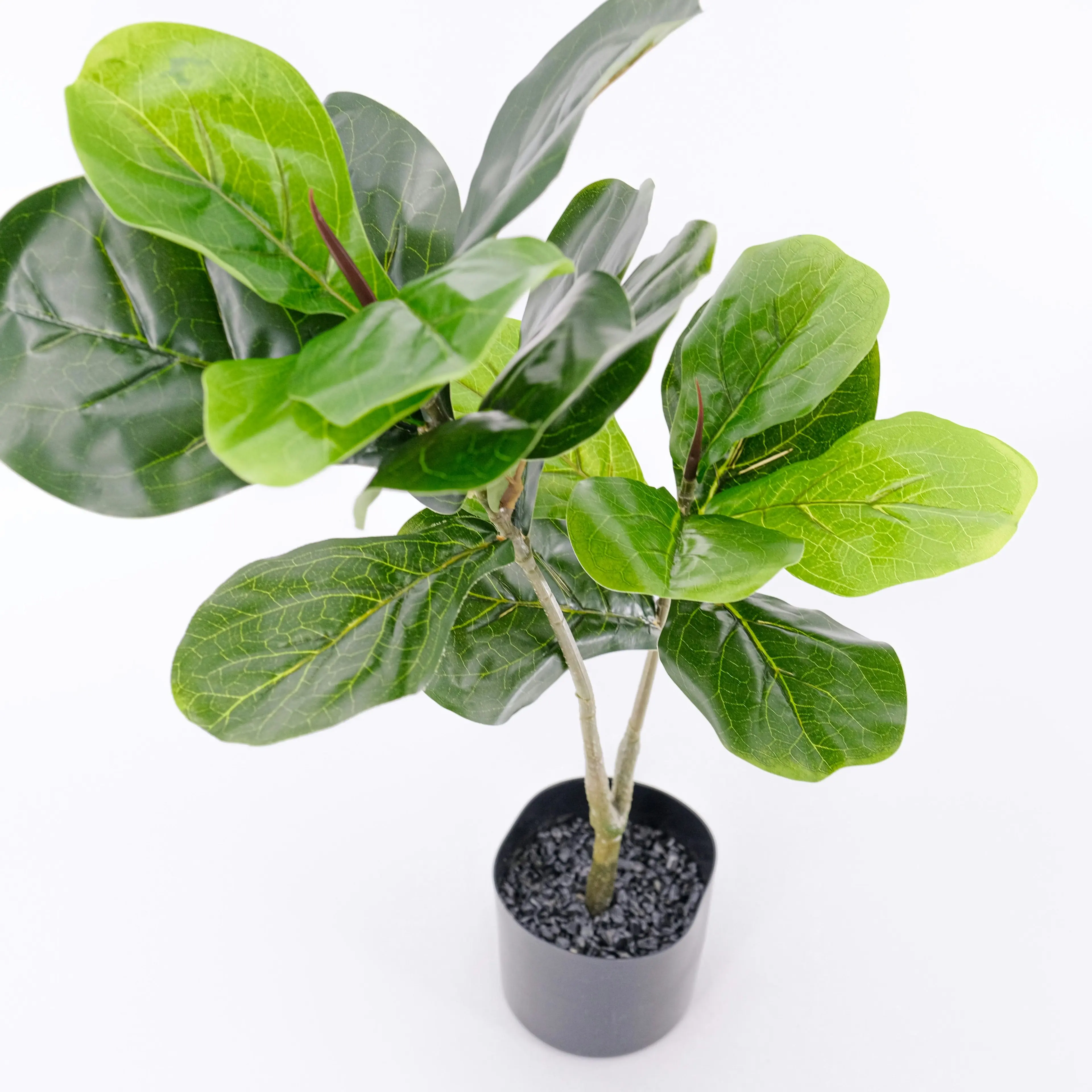 Artificial Twin Fiddle Leaf Fig Plant 70cm