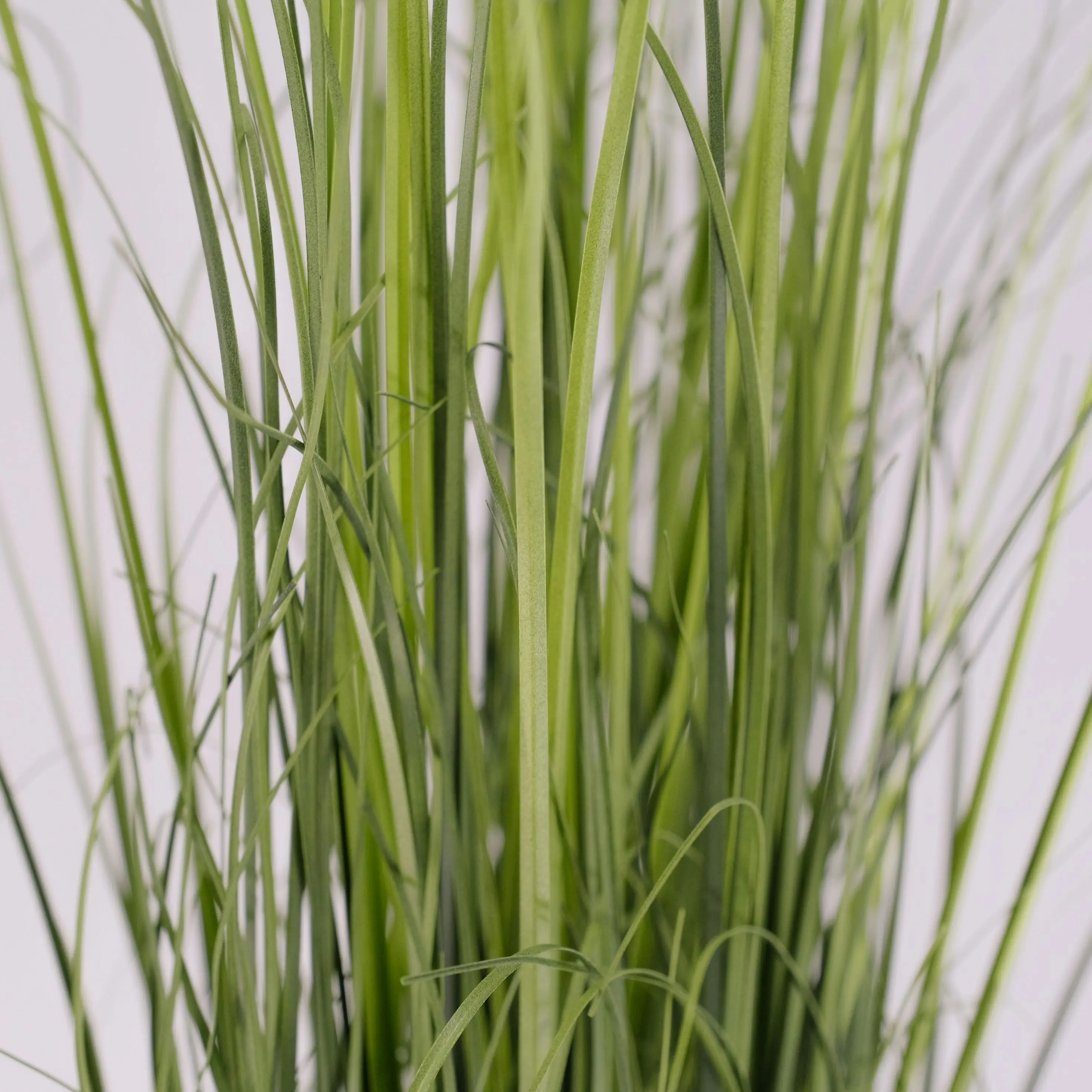 Artificial Onion Grass Plant 110cm