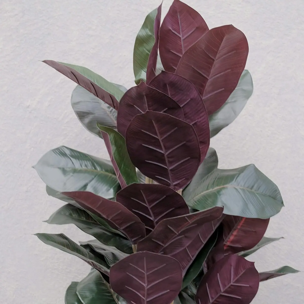 Artificial Burgundy Rubber Plant 90cm