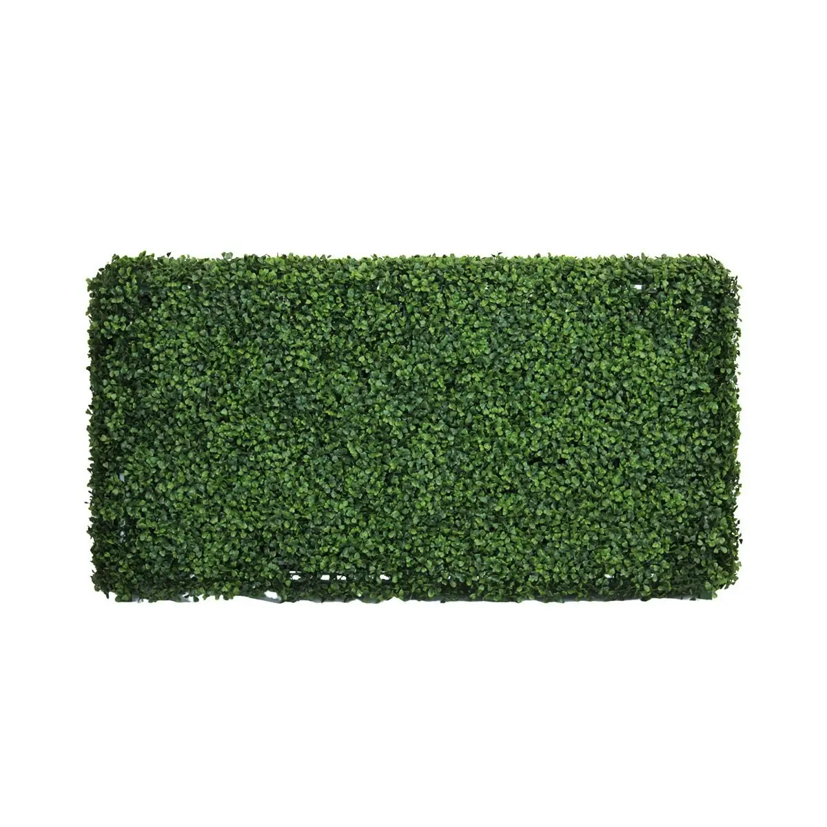 Freestanding Artificial Hedge - English Box (Buxus) 100x50cm