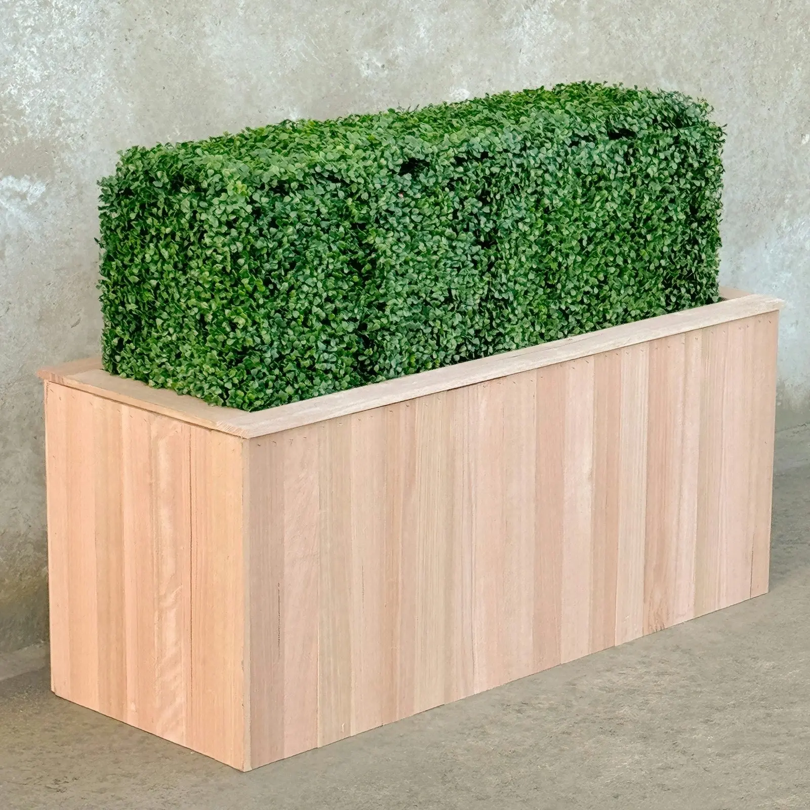 Freestanding Artificial Hedge - English Box (Buxus) 100x50cm