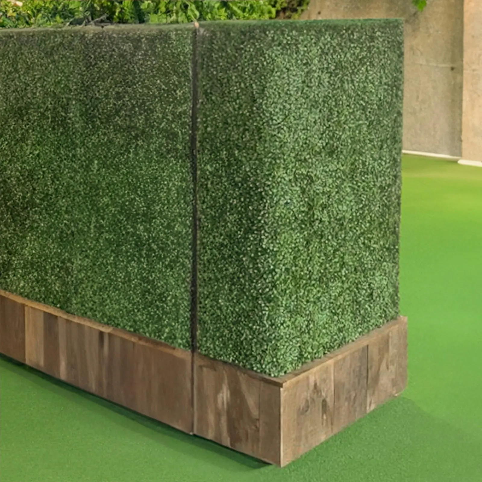 Freestanding Artificial Hedge - English Box (Buxus) 100x150cm