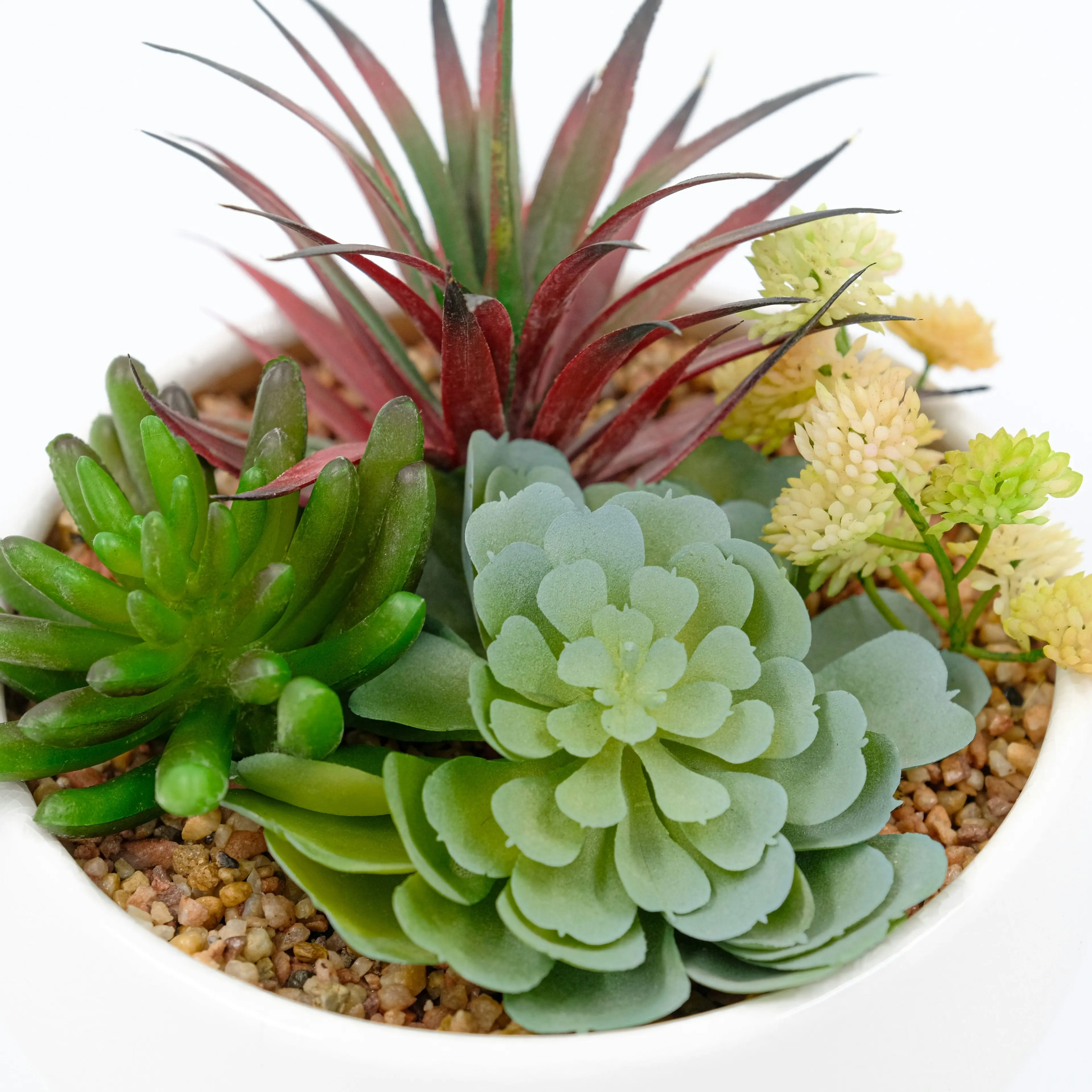 Artificial  Quad Succulent in White Pot 16cm